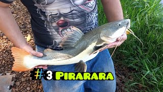 #3 Pirarara 🐟🎣 #pirarara #pescaesportiva #fish