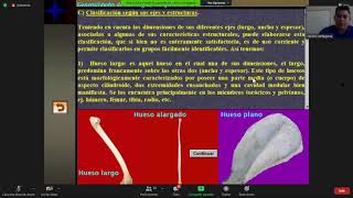 Osteología veterinaria en programa