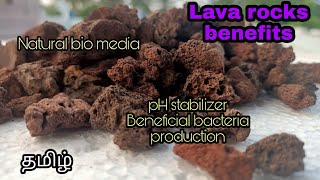 Benefits of lava rocks | Natural bio media | Aquapets & farm