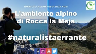 L'ambiente alpino di Rocca la Meja