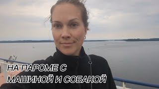 Из Германии в Латвию на пароме с машиной и собакой. Как все организовано?