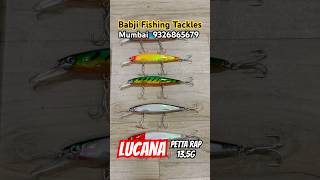 LUCANA PETTA RAP BABJI FISHING TACKLES MUMBAI 9326865679 #fishing #angler #sea #snakehead #snapper