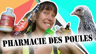 pharmacie des poules