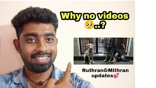 why no videos in our channel | Ruthran & Mithran updates💕| @aquapetsfarmtamil4785