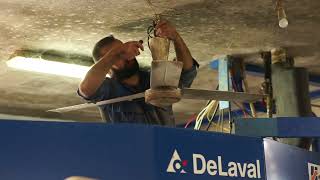 Substituição de 3 VMS Classic por 3 VMS V300 DeLaval | Vale de Leandro