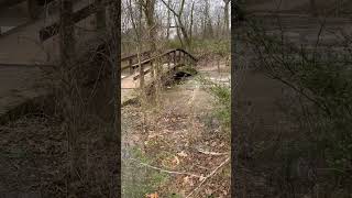 Flooding in Ohio #ohio #shorts #flood #thunderstorm