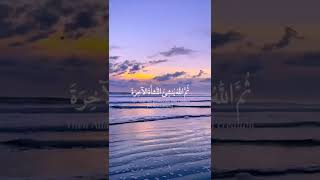 #سبحان_الله_والحمدلله_ولا_إله_إلا_الله_والله_اكبر #سبحان_الله_وبحمده  | Qur'an Karim 🍁