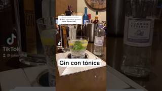 Gin con Tónica