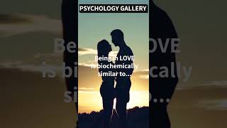 Being in LOVE is biochemically similar to THIS!!! 😜 #shorts #shortsvideo #motivation #psychology