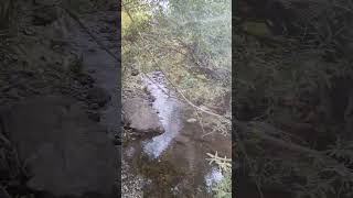 The Beauty of a River Filled with Blue and Green Stones