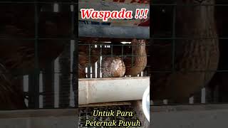 Waspada !! Cuaca Ekstrim !!