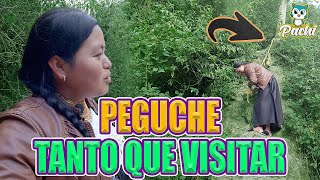 Una CASCADA en OTRA CASCADA | CASCADA DE PEGUCHE | SOYPACHI