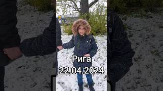 Снег в апреле🥶😅