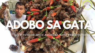 Cooking fresh Octopus (Pugita)🤤 delicious (spicy adobo sa gata)