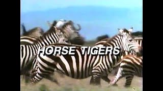 Horse Tigers (1992)