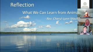 What We Can Learn from Animals - June 14, 2020