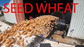 Cleaning wheat for seed