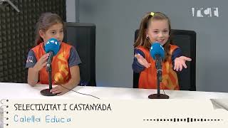 Calella Educa: Selectivitat i castanyada