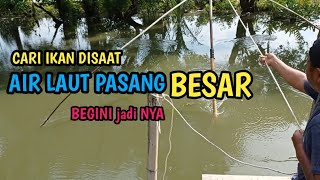 BEGINI JADI NYA Cari IKAN di saat air pasang BESAR || Branjang ikan || nangkul ikan || tangkap ikan