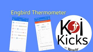 Engbird Thermometer|Pond + Indoor Update