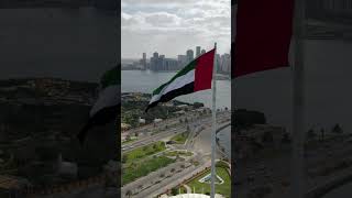 Happy 52 Uae National Day 🇦🇪 #shorts #viral#uaenationalday#yt #uae#unitedarabemirates#fypシ゚viral