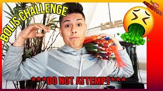 BOLIS Chug Challenge | WARNING DO NOT ATTEMPT