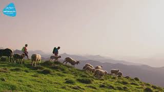 Wandern auf der Reiteralm!