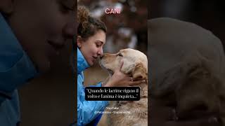 Quando le lacrime rigano il volto e l'anima è inquieta #cane #animali #frasedelgiorno #aforismi