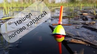 Нашел логово карасей. Разловил попла-поппер