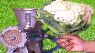 EXPERIMENT CAULIFLOWER VS MEAT GRINDER