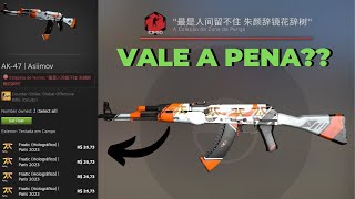 VALE A PENA INVESTIR EM SKINS COM ADESIVOS COLADOS