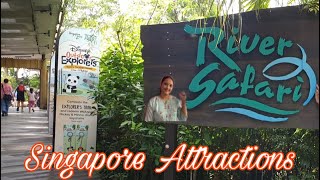 Singapore Attractions River Safari|Panda in Singapore zoo| Singapore Vlogs Tamil