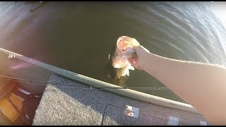 October Bass Fishing On The Jon Boat