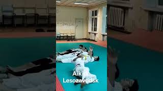 aikido ukemi