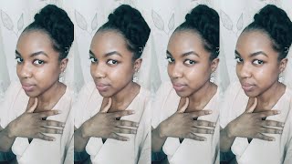 Freestyle Natural Hair Updo - with Braiding Hair!