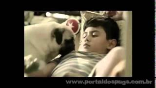 Vodafone Network - Comerciais de TV - Compilação com 3 Propagandas com Pug