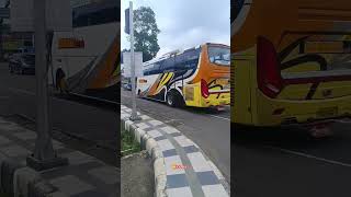 Telolet Basuri kebalik Barokah marsada " Yasamina" #busmania #basuri #basurimania #trending