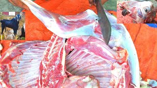 The boy skillfully cut the whole goat meat | Meat Cutting | Cutting skills | Goat | Beef Cutting