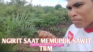 Ngirit saat memupuk tbm