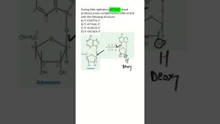 #NEETPG #BIOCHEMISTRY MCQs | DNA replication