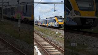 #treinleven SNG met graffiti vertrekt van Schiedam centrum