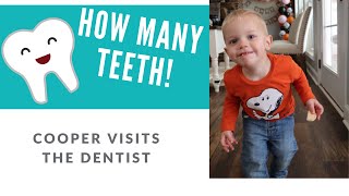 TODDLER meets the DENTIST!!!