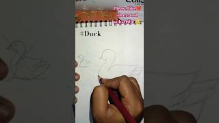 Easy duck drawing🐤🦆#drawing#art#youtubeshorts#satsfyingart#creative