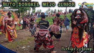 Seni Budaya Jaranan Buto Banyuwangi