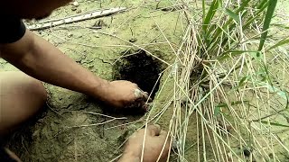 seram❗mancing di dalam lubang ini ada belut monster, lubang yang sangat angker...