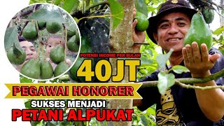 Peluang 🥑 Budidaya Alpukat, Emas Hijau Yang Menjanjikan!