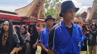 KERBAU Mahal di Penerimaan Tamu Ritual Rambu Solo' TORAJA. Pemakaman TERMAHAL Di DUNIA