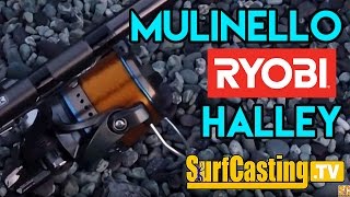 Mulinello da pesca a surfcasting Halley Ryobi Tubertini | Mulinelli da pesca prezzo e dove comprare