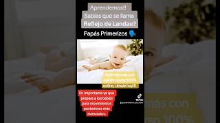 Estimulación Temprana de 0 a 24 meses #papasprimerizos #estimulaciontemprana #crianzarespetuosa