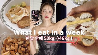 50kg-46kg 다이어트 정체기 극복⭐️ 딱 1달 안에 보통에서 마름으로 가는 식단 모음집 (ft. 빵순이)